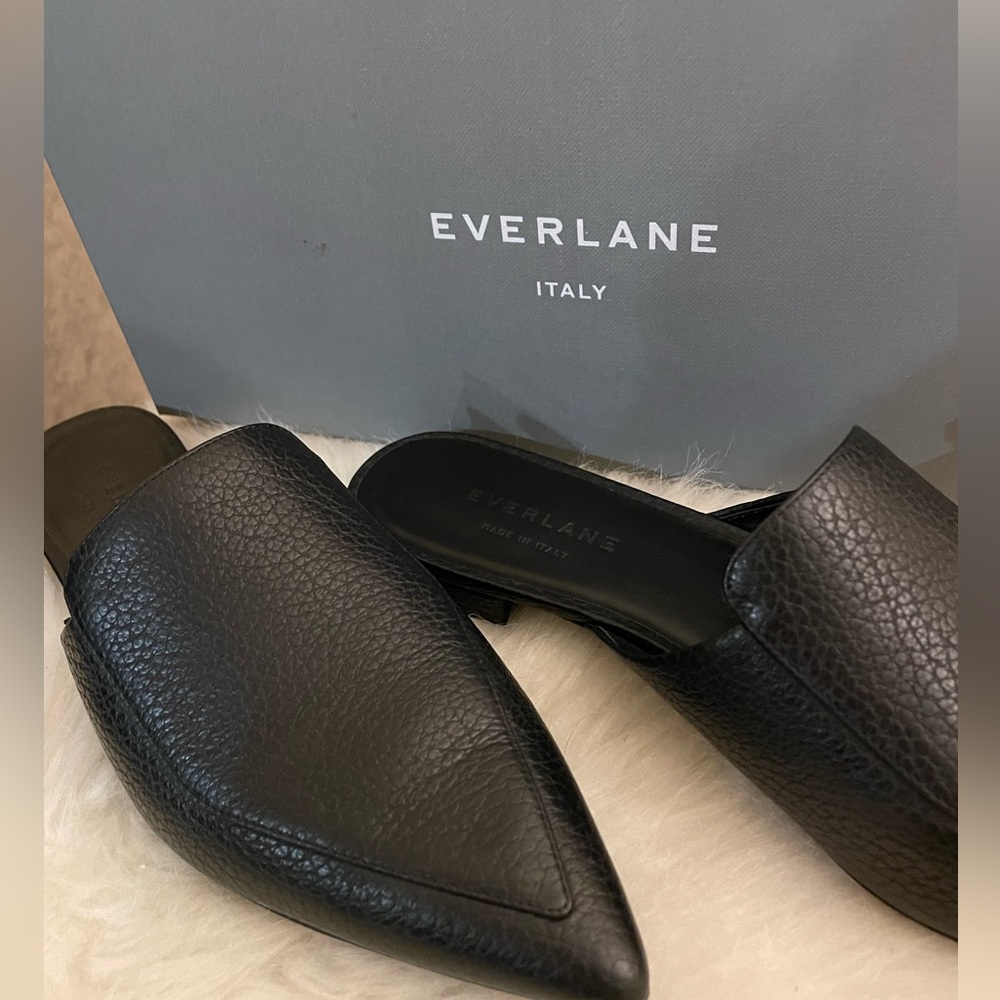 Everlane Flats 7
